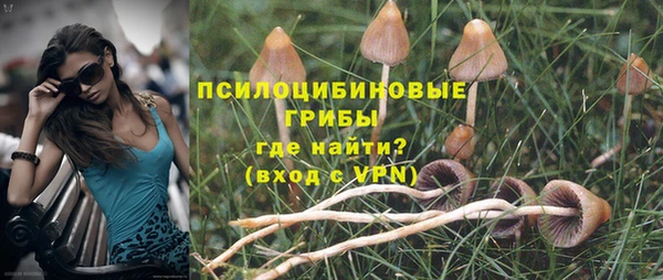 spice Беломорск
