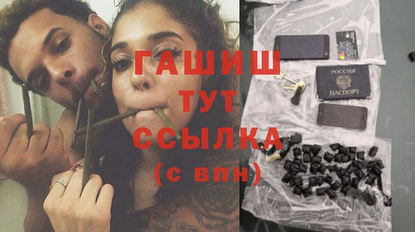 шишки Мегион
