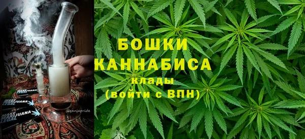 apvp Белокуриха