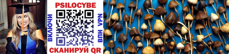 Псилоцибиновые грибы Magic Shrooms  Армавир 